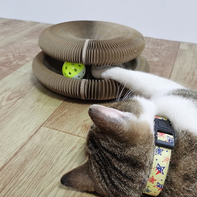ScratchUp - Magic Organ Cat Scratching Board